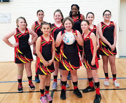 Image result for Brigg & District Netball Club