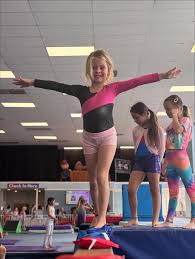 Image result for Aerodyne Gymnastics Club