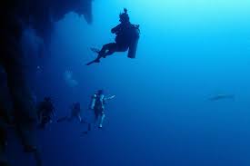 Image result for TAL Divers