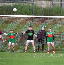 Image result for Ballyhegan Davitts Gaa Club