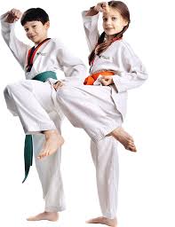 Image result for Full Element Mixed Martial Arts