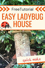 Image result for ladybug house