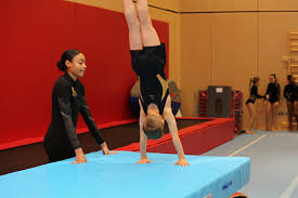 Image result for Appley Bridge Gymnastics Club