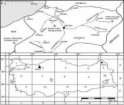 Attēlu rezultāti vaicājumam “Campyliadelphus elodes”