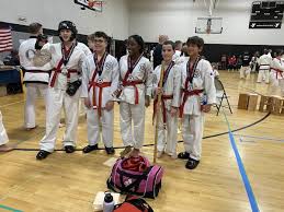 Image result for Taunton Karate academy