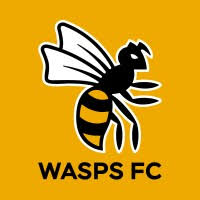 Image result for Wasps Football Club