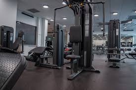 Image result for Stonyhill Ibc