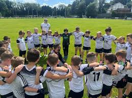 Image result for St Peter`s Gaa