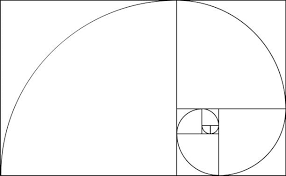 Image result for numero aureo