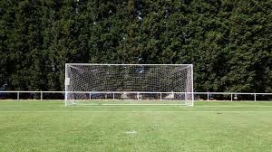 Image result for V C D Athletics Club