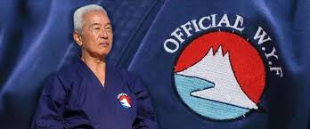 Image result for Yoseikan Budo England