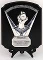 Cy Young Award Winners 1956-2011 / Pitchers with 300 Wins