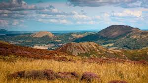 Image result for Long Mynd