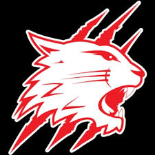 Image result for Swindon Panthers