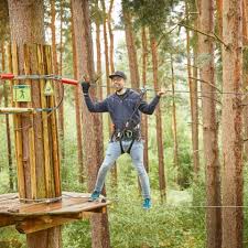 Image result for Go Ape! Whinlatter