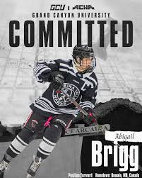 Image result for Brigg Hockey Club