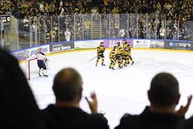 Image result for Nottingham Panthers