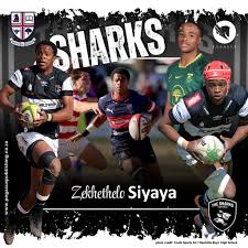 Image result for Huddersfield Sharks Rugby League Football Club