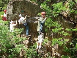 Image result for PONT DE SINGE