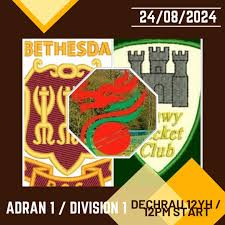 Image result for Clwb Criced A Bowlio Bethesda