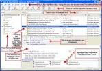 Thunderbird Explained :: Brazos Price