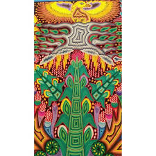 Image result for huichol art