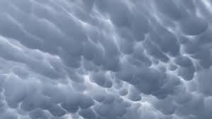 Attēlu rezultāti vaicājumam “Mammatus”