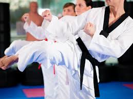 Image result for Full Element Mixed Martial Arts