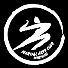 Image result for York University Taekwondo Club