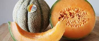 Image result for Melone
