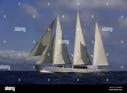 Image result for Xarifa