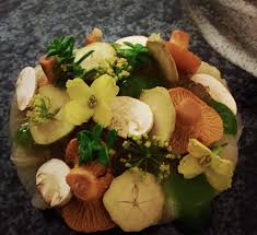 Attēlu rezultāti vaicājumam “Honckenya peploides fruit”