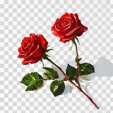 Image result for Red Rose Cc