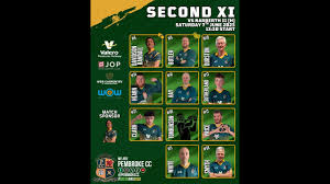 Image result for Narberth Cricket Club