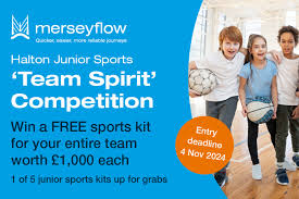 Image result for Halton Netball Club