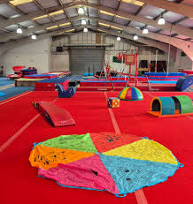 Image result for Gym Tots Gym Club