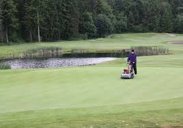 Image result for Mowerspeed Club