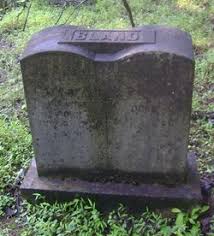 Eliza Alice Childers Bland (1848 - 1936) - Find A Grave Memorial - 93596528_134244801325