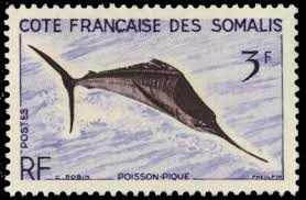 Image result for Istiompax indica