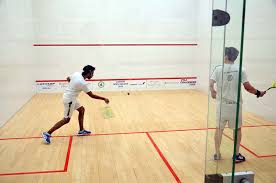 Image result for Tavistock Squash Club
