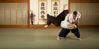 Image result for A BRITISH JUJITSU RYU in Lancing