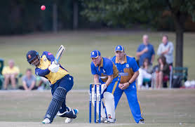 Image result for Upminster Cricket Club