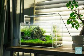 Attēlu rezultāti vaicājumam “Elatine hydropiper”