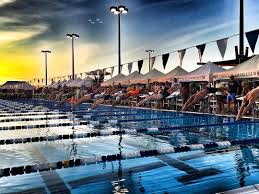 Image result for Dearne Valley Swimming Club