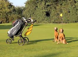 Image result for Harpenden Common Golf Club