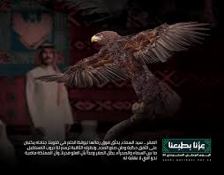 Image result for Falcon Sa Club