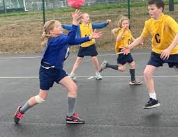 Image result for Farnham Netball Club