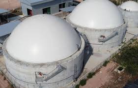 Image result for papop