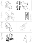  Frog Lapbook