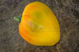 Afbeeldingsresultaat voor belarus orange tomato